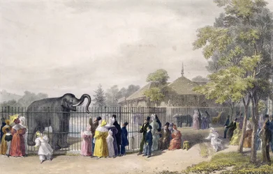 Das Elefantenhaus im Zoologischen Garten, Regent