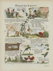 Illustration für Le Rire