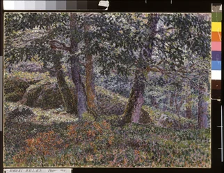 Eichen und Blaubeerbüsche