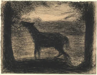 Fohlen (Le Poulain)