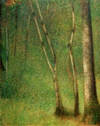 Wald in Pontaubert