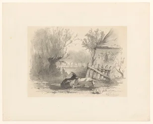 Zwei Ziegen und ein Schaf bei einem Zaun vor einem Haus