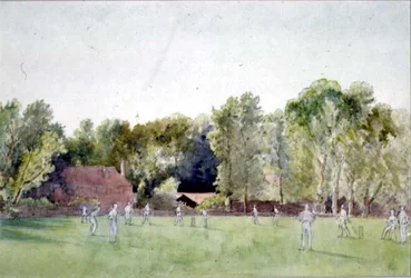 Das Cricketspiel