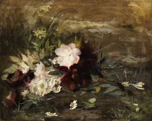 Seerosenblumen und Margeriten am Ufer