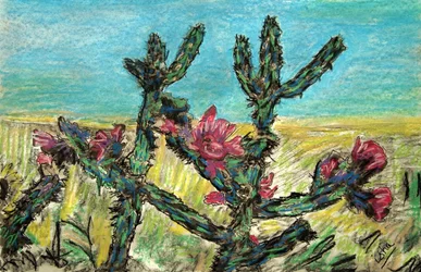 Cholla in Blüte, 2017