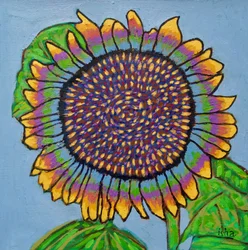 Freudige Sonnenblume II, 2024