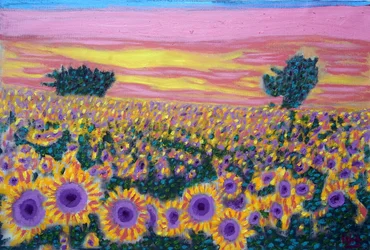 Sonnenblumenfeld, 2024