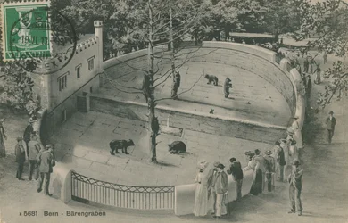 Berner Zoo, Bärengraben. Postkarte gesendet am 19. Juni 1913.