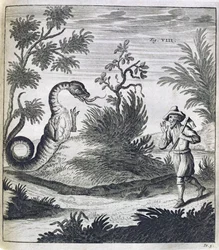 Ein furchterregender Drache, um 1660