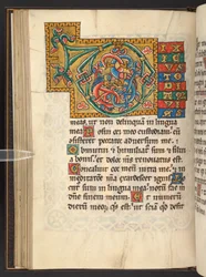 Große gerahmte Initialen in Gold und Farben mit Blatt- und manchmal zoomorphem und anthropomorphem Ornament (Pergament)