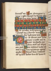 Initiale und Text (Pergament)