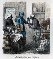 Alte Geschichte. Ägypten. Einbalsamierung von Tieren (Gravur)