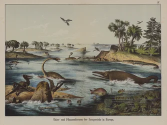 Tiere und Pflanzen der Jurazeit in Europa