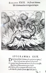 Wie der Salamander im Feuer lebt, so auch der Stein, Emblem XXIX aus Atalanta fugiens von Michael Maier, 1617