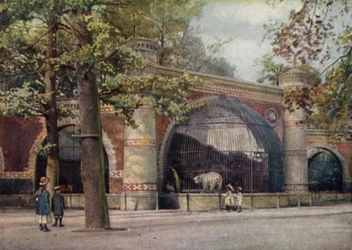 Bärengehege, Zoologischer Garten Berlin, Deutschland
