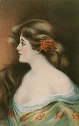 Schönheit mit langen braunen Haaren