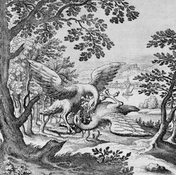 Kämpfende Vögel aus Musaeum Hermeticum