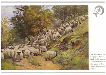 Geschäft der Teppichhersteller Halbmond-Teppichfabrik Von Koch Und Te Kock