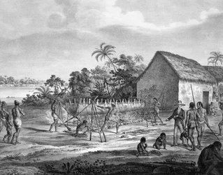 Europäer handeln am Flusshafen des Miranhas-Stammes, Amiro Japara, Illustration aus dem Atlas einer Reise in Brasilien