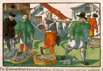 Fischmarkt, aus einem deutschen Manuskript, ca. 1650