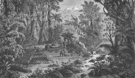 Waldszene in Hinterindien