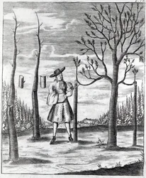 Gartenarbeit und Pflanzenkrankheiten, eine Illustration aus 
