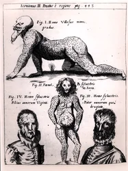 Haariger Mann und Wilder Mann, Illustration aus Physica Curiosa von Gaspar Schott (1608-66)