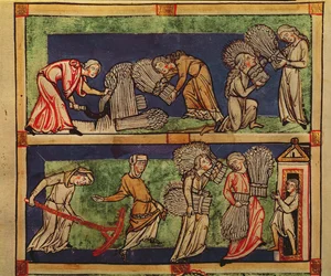 Ernte, Rheinische Schule