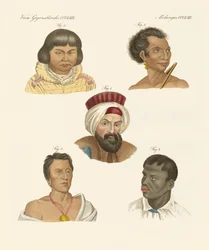 Illustration der Hauptmenschenrassen