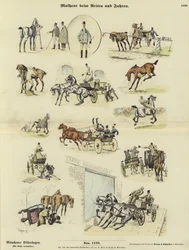 Missgeschicke beim Reiten und Fahren