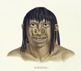 Einheimischer Mann des Miranha-Stammes mit Nasenschmuck, aus Atlas einer Reise in Brasilien von Johann Baptist von Spix (1781-1826) und Karl Friedrich Philipp Martius (1794-1868), veröffentlicht ca. 1835-50