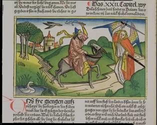 Numeri 22:20-35 Bileams sprechender Esel, aus der Nürnberger Bibel (Biblia Sacra Germanaica)
