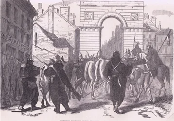 Preußische Plünderungstruppen bringen Vieh ein, Cassells Geschichte des Krieges zwischen Frankreich und Deutschland, veröffentlicht von Cassell and Company Limited, ca. 1890 (Lithografie)
