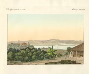 Pulu Penang