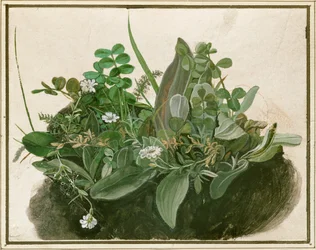 Kleiner Rasenbüschel