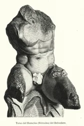 Der Belvedere Torso, römische Skulptur, traditionell als Darstellung des Herkules angesehen