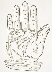 Die rechte Hand, Kopie einer Illustration aus Cerasariensis von Tricassus, Nürnberg 1560, verwendet in einer Geschichte der Magie, veröffentlicht Ende des 19. Jahrhunderts
