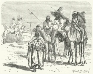 Tuaregs