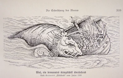 Wal greift ein Schiff an