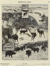 Wildtiere füttern im Winter