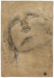 Kopf der Jungfrau, nach oben blickend