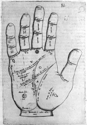 Chiromantie und Wahrsagerei: Darstellung der verschiedenen Linien der Hand, die die Interpretation der Persönlichkeit ermöglichen. Gravur aus „De magia“ von Giambattista della Porta (1537? -1615) 1589