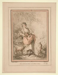 Mädchen füttert Hühner