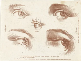 Studienblatt mit Beispielen von Augen