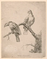 Zwei Vögel auf einem Ast