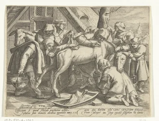 Das Waschen des Esels