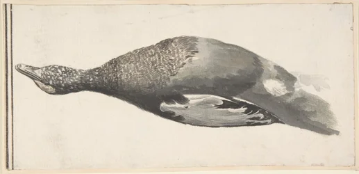 Tote Ente, 1685-1755