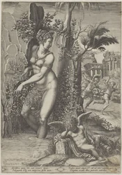 Venus und die Rose