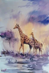 Afrikanischer Sonnenuntergang mit Giraffen