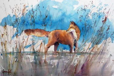 Wachsamer Fuchs im Schilf